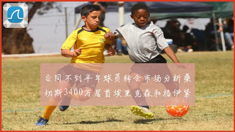 合同不到半年球员转会市场分析桑切斯3400万居首埃里克森和格伊紧随其后