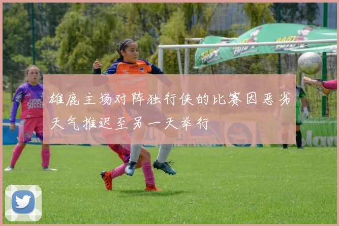 雄鹿主场对阵独行侠的比赛因恶劣天气推迟至另一天举行