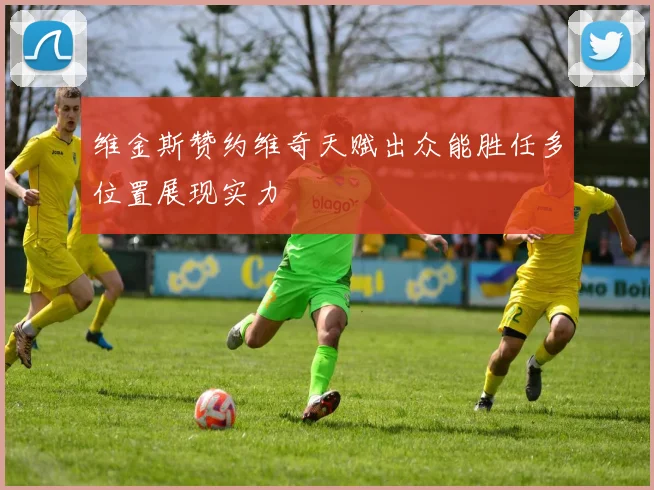 维金斯赞约维奇天赋出众能胜任多位置展现实力
